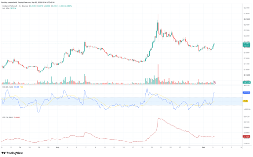 مخطط سعر ADA/USDT لأربع ساعات. المصدر: TradingView.