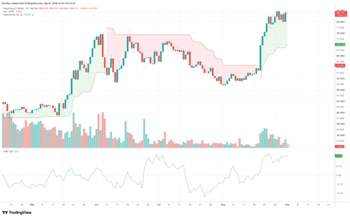 HYPE/USDT 1 -day price chart. Source: TradingView.