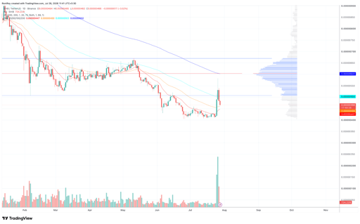 SHIB/USDT 4-timers prisdiagram. Kilde: TradingView.