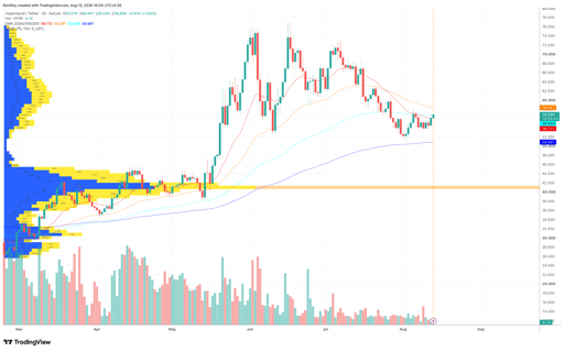HYPE/USDT 1-day price chart. Source: TradingView.