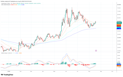 HYPE/USDT dagsprisgraf. Kilde: TradingView.