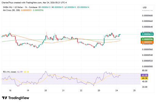 Shiba Inu 1-hour chart