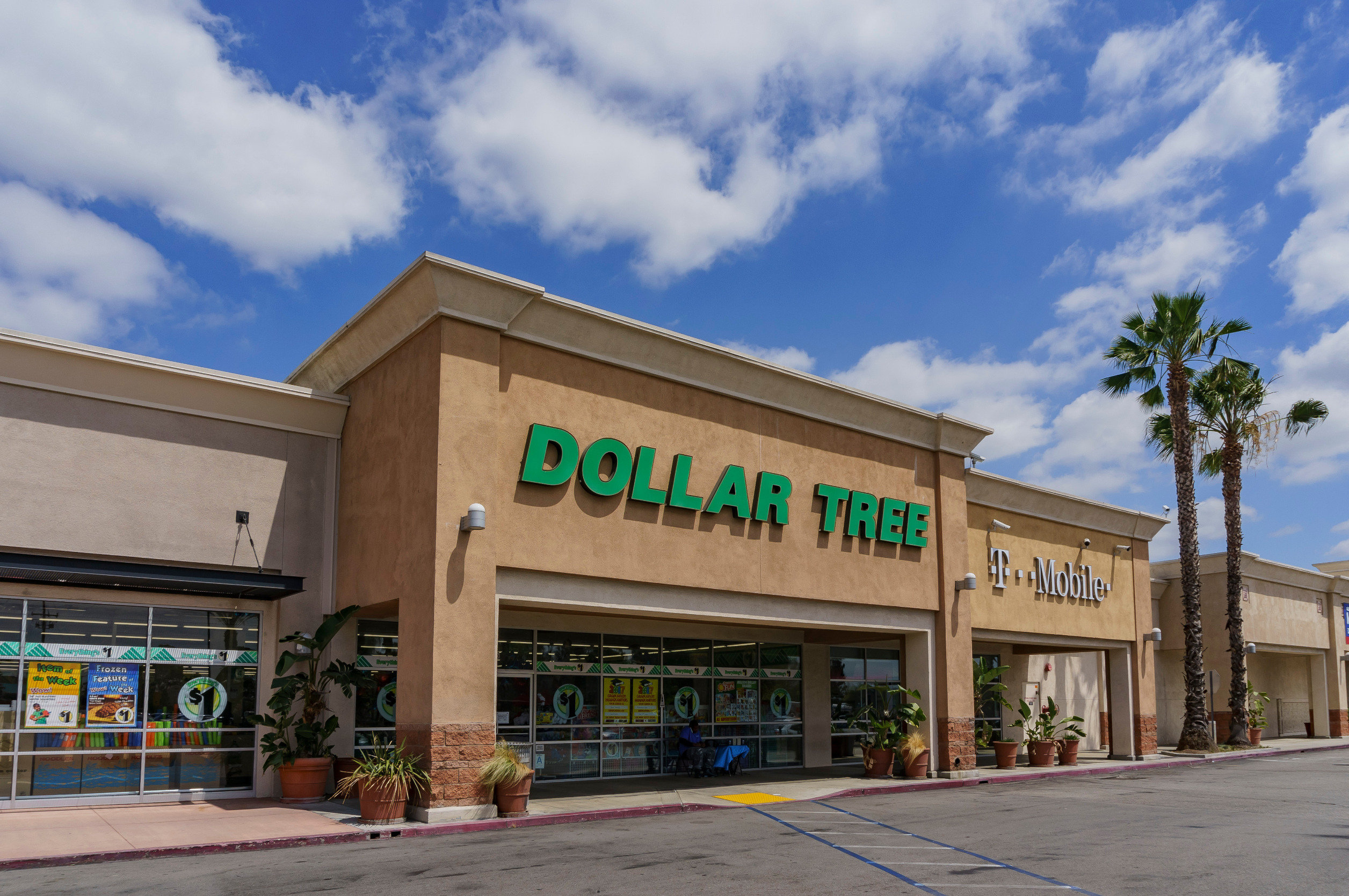 dollar tree stock slides after q2 results